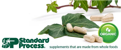 standard process supplements